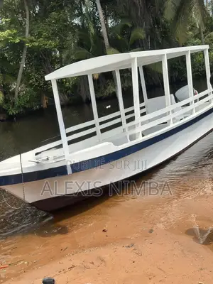 Bateau Plaisance Polyester Transport Passager Ou Personnel