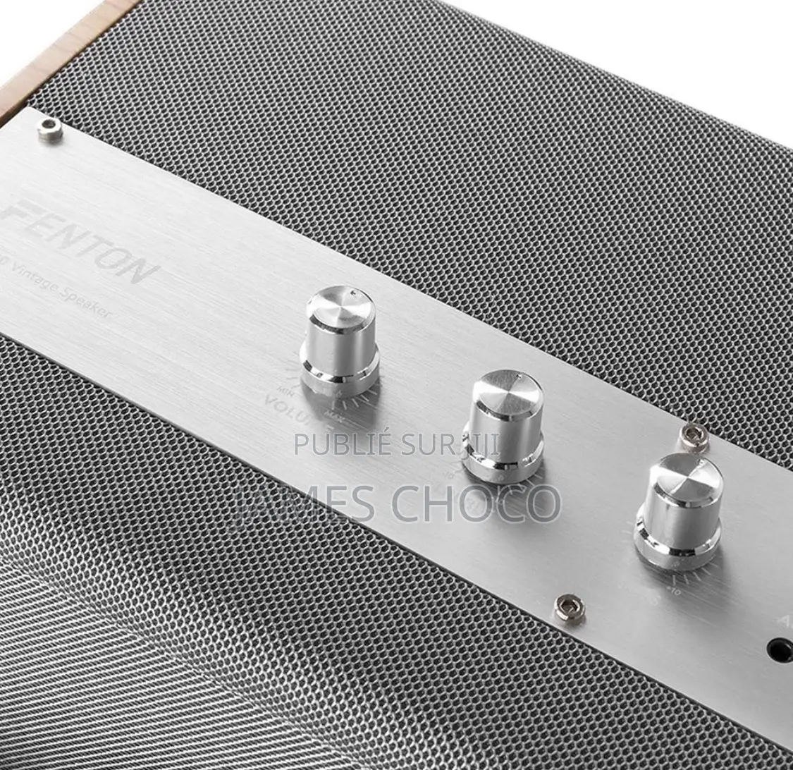 Vbs80 Vintage Wooden Speaker 8