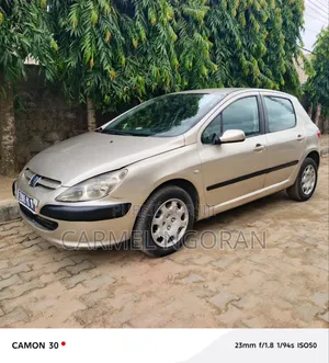Photo - PEUGEOT 307 2003 Beige