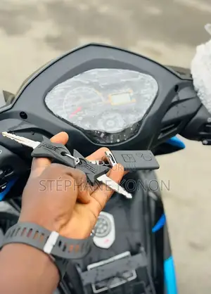 Photo - New TVS HLX 125 2024 Bleu