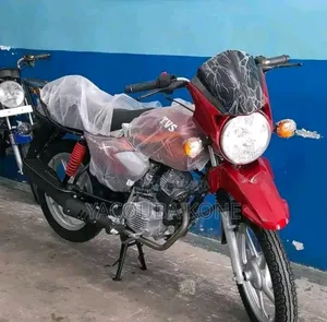 Neuf TVS HLX 125 2022 Autre