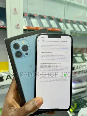 New Pomme iPhone 13 Pro Max 256 GB Bleu