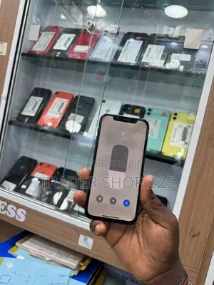 Photo - New Pomme iPhone 12 Pro 128 GB Bleu