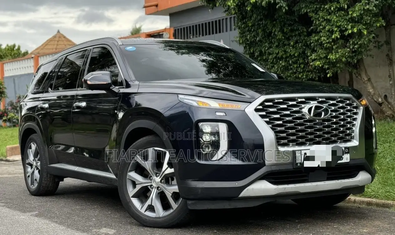 Hyundai Palissade 2020 Black