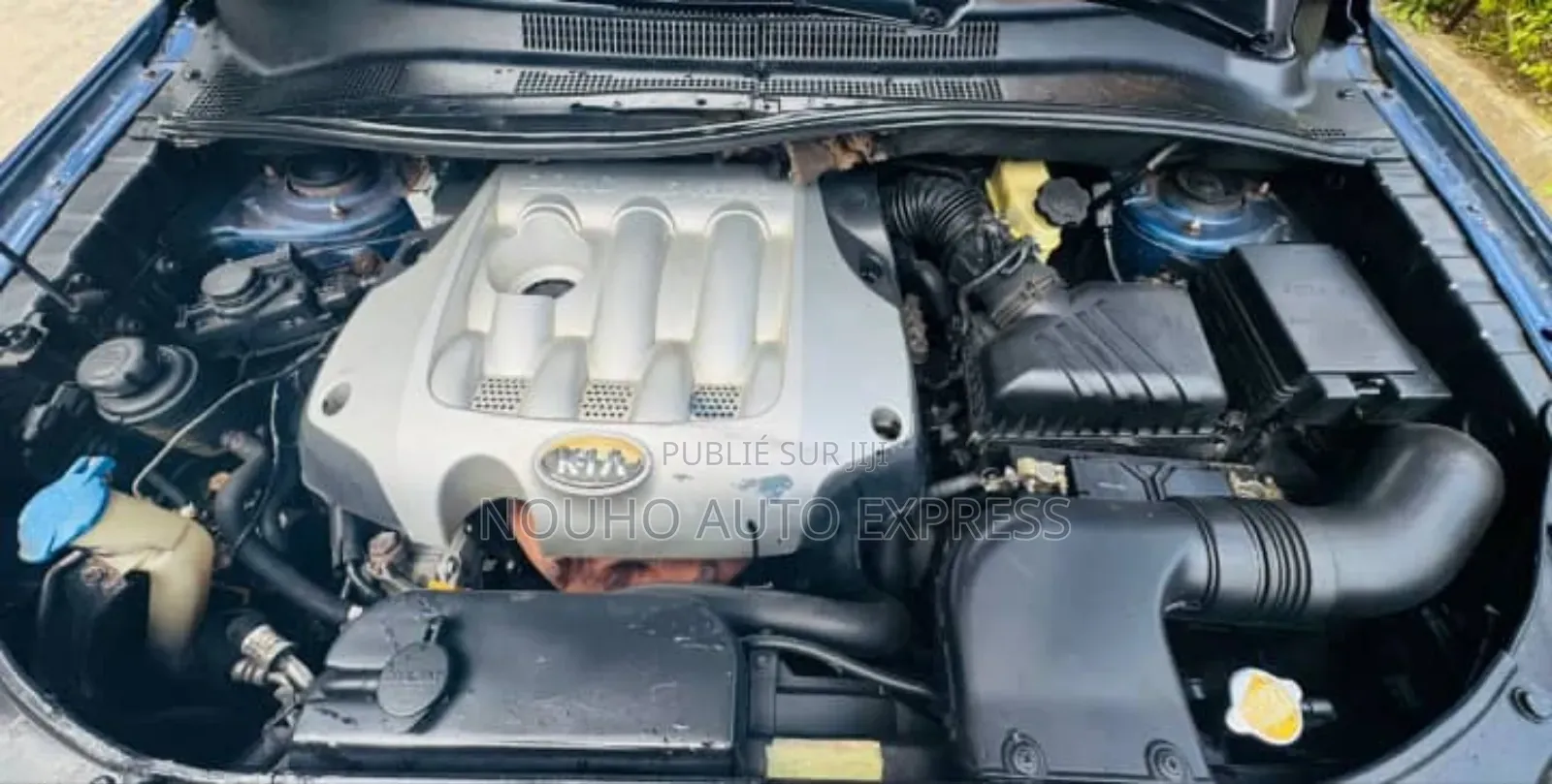 Kia Sportage 2006 Bleu