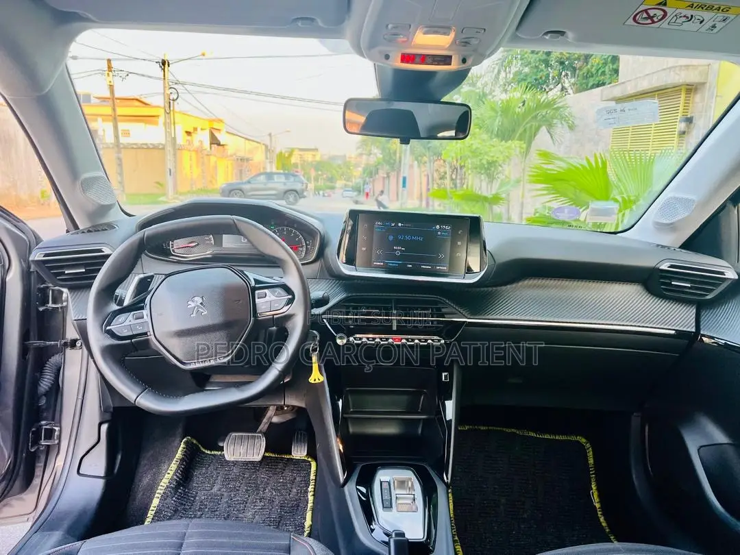PEUGEOT 208 2024 Gris