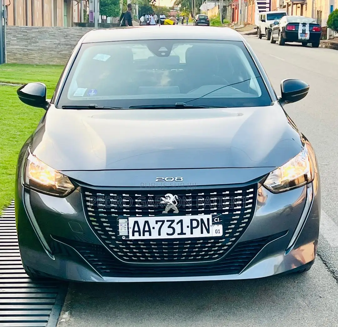 PEUGEOT 208 2024 Gris