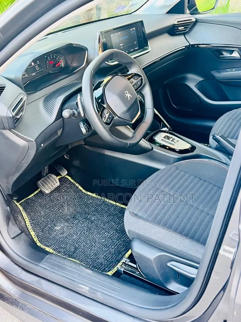 PEUGEOT 208 2024 Gris