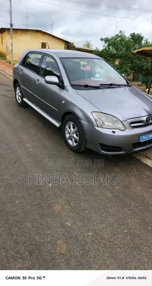 Photo - Toyota Corolla Break 2003 Gris