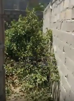 Photo - Terrain en Vente