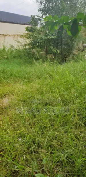 Vente De Plusieurs Lots