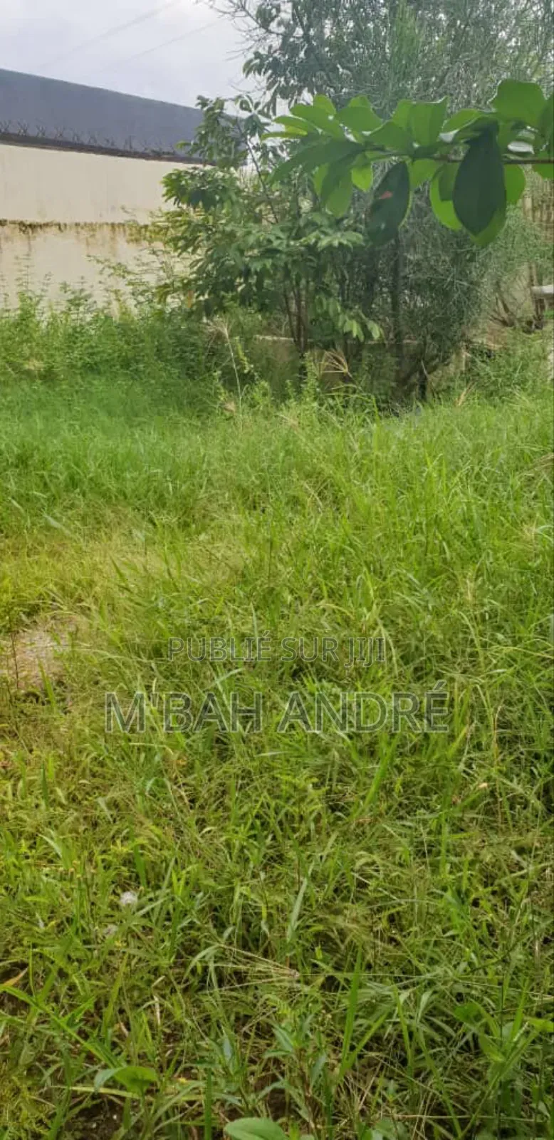 Vente De Plusieurs Lots