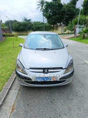 PEUGEOT 307 SW 2003 Gris