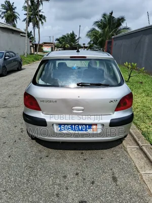 PEUGEOT 307 SW 2003 Gris