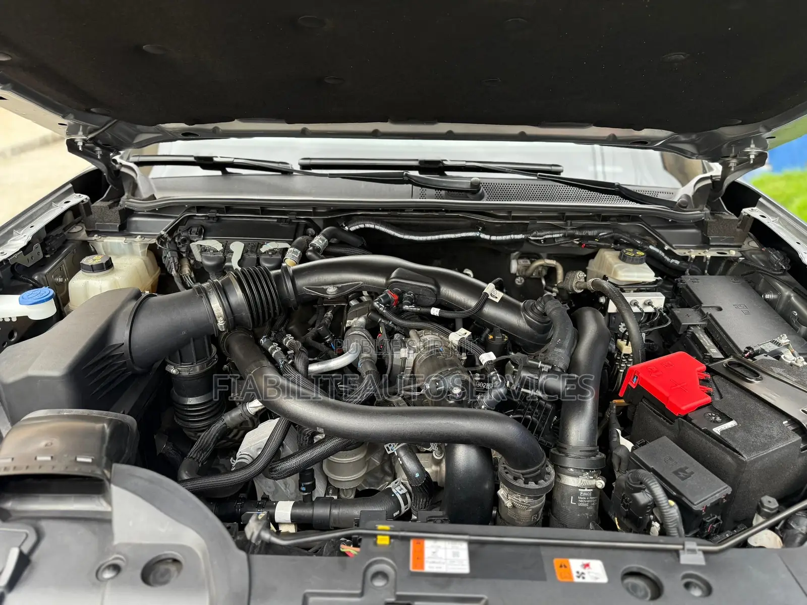 Ford Ranger Wildtrak 2024 Gris