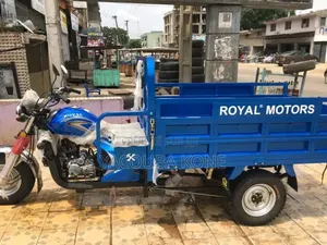 Neuf Royale Moto/Vélomoteurs 2020 Bleu