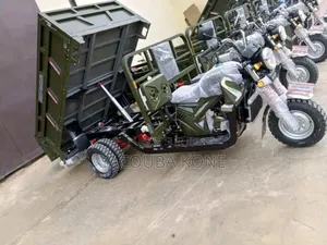 Neuf Tricycle Autre 2019 Autre