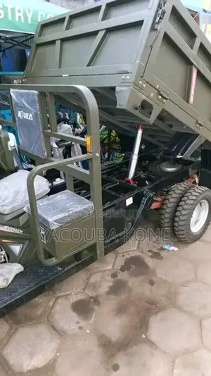 Neuf Tricycle Autre 2019 Autre