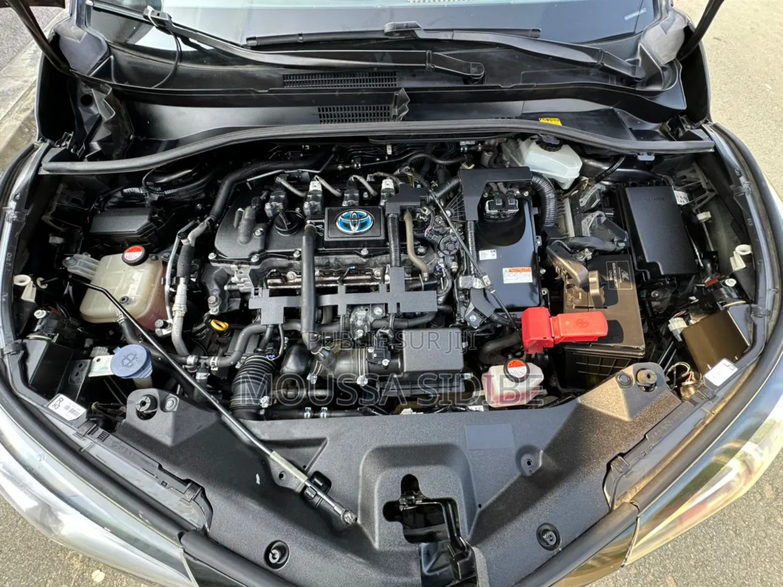 Toyota C-HR XLE Prermium FWD (2.0L 4cyl 2AM) 2018 Gris