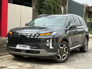 Hyundai Palissade SEL 2023 Black