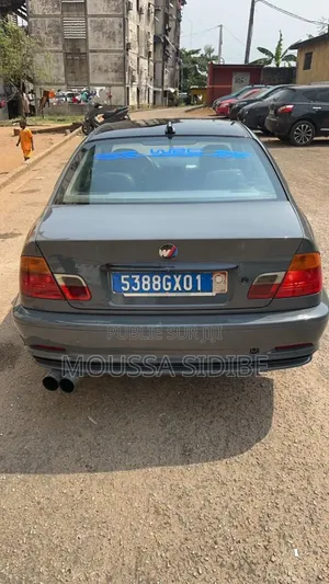 BMW 3 Series 316i RWD 2003 Gris