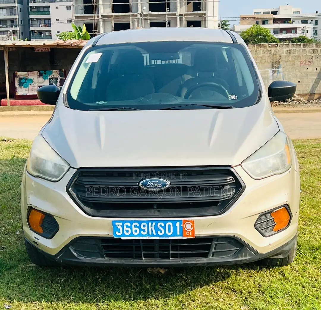 Ford Escape 2018 Gris