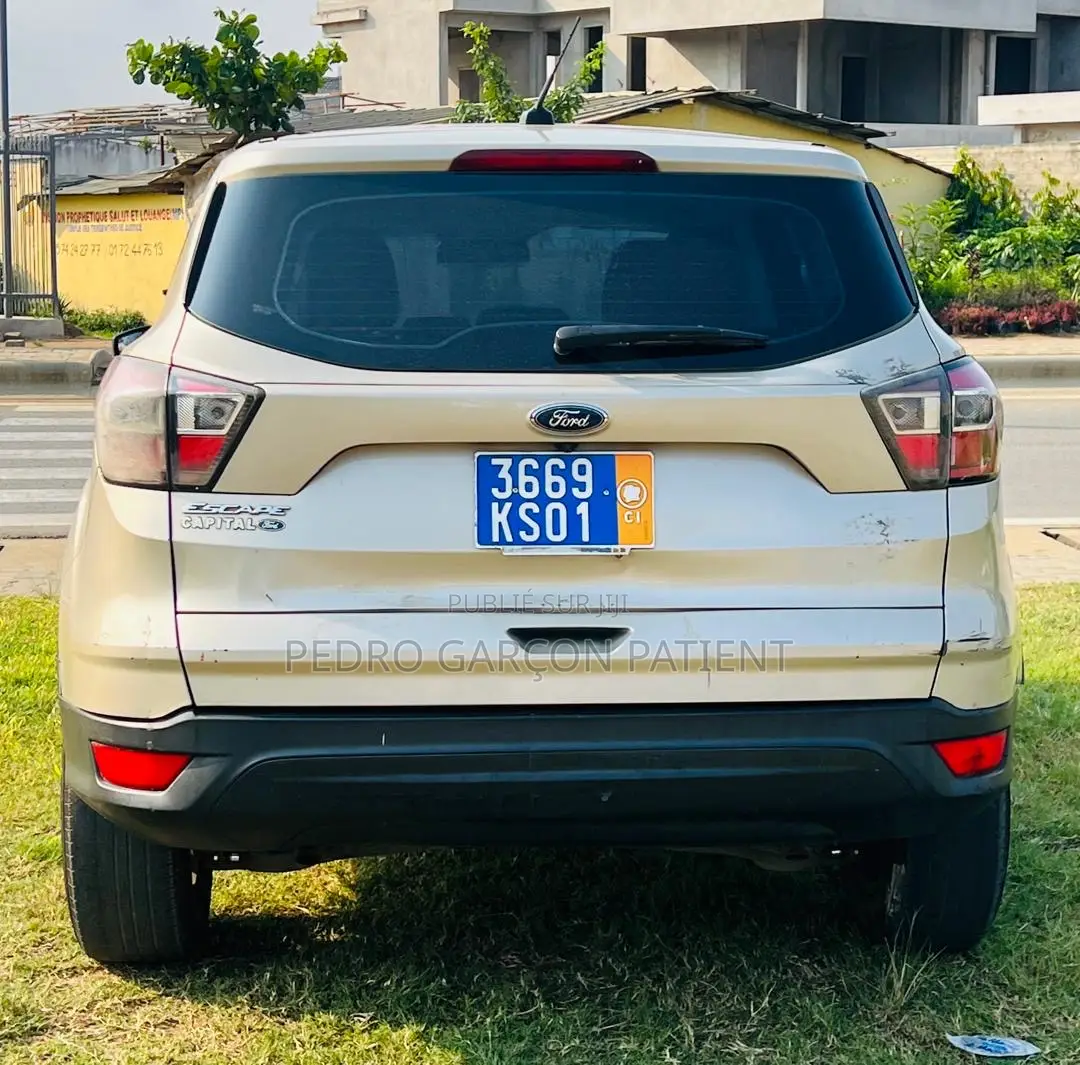 Ford Escape 2018 Gris