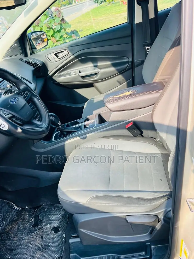 Ford Escape 2018 Gris