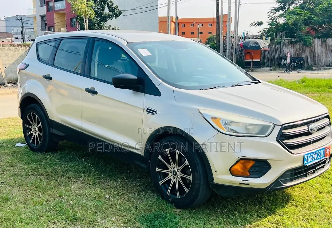 Ford Escape 2018 Gris