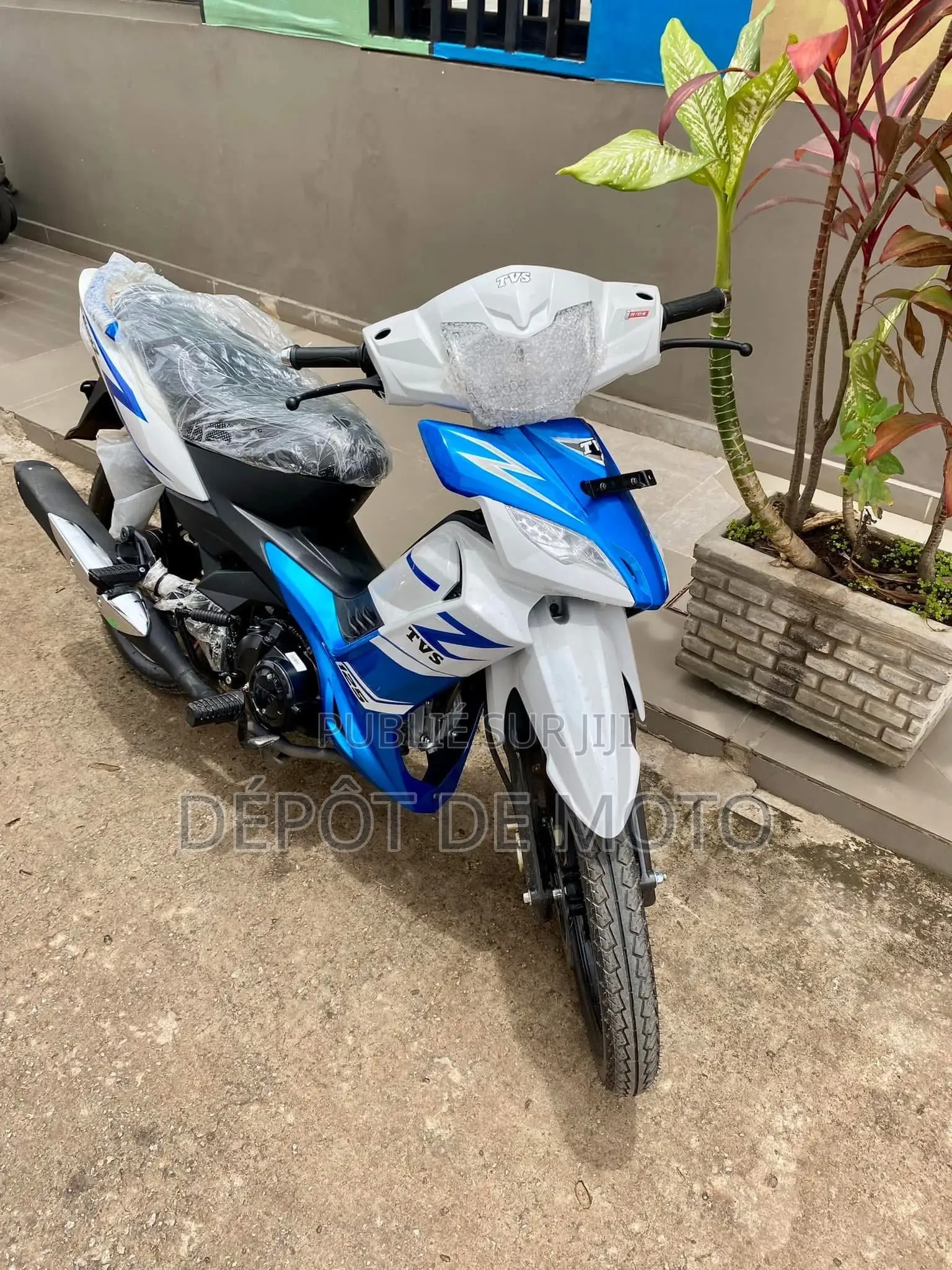 Neuf TVS Autre 2023 Bleu
