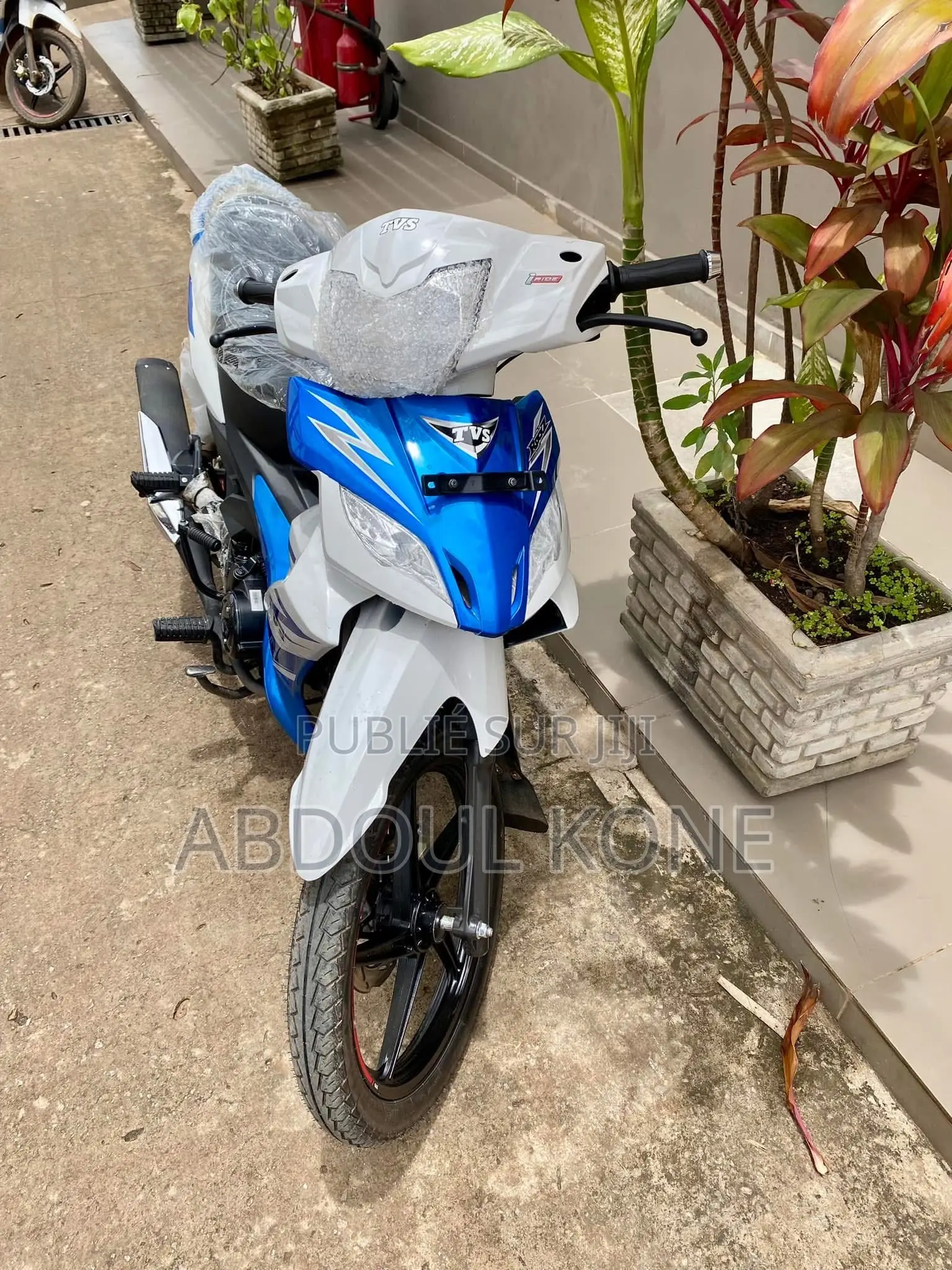 Neuf TVS Autre 2023 Bleu