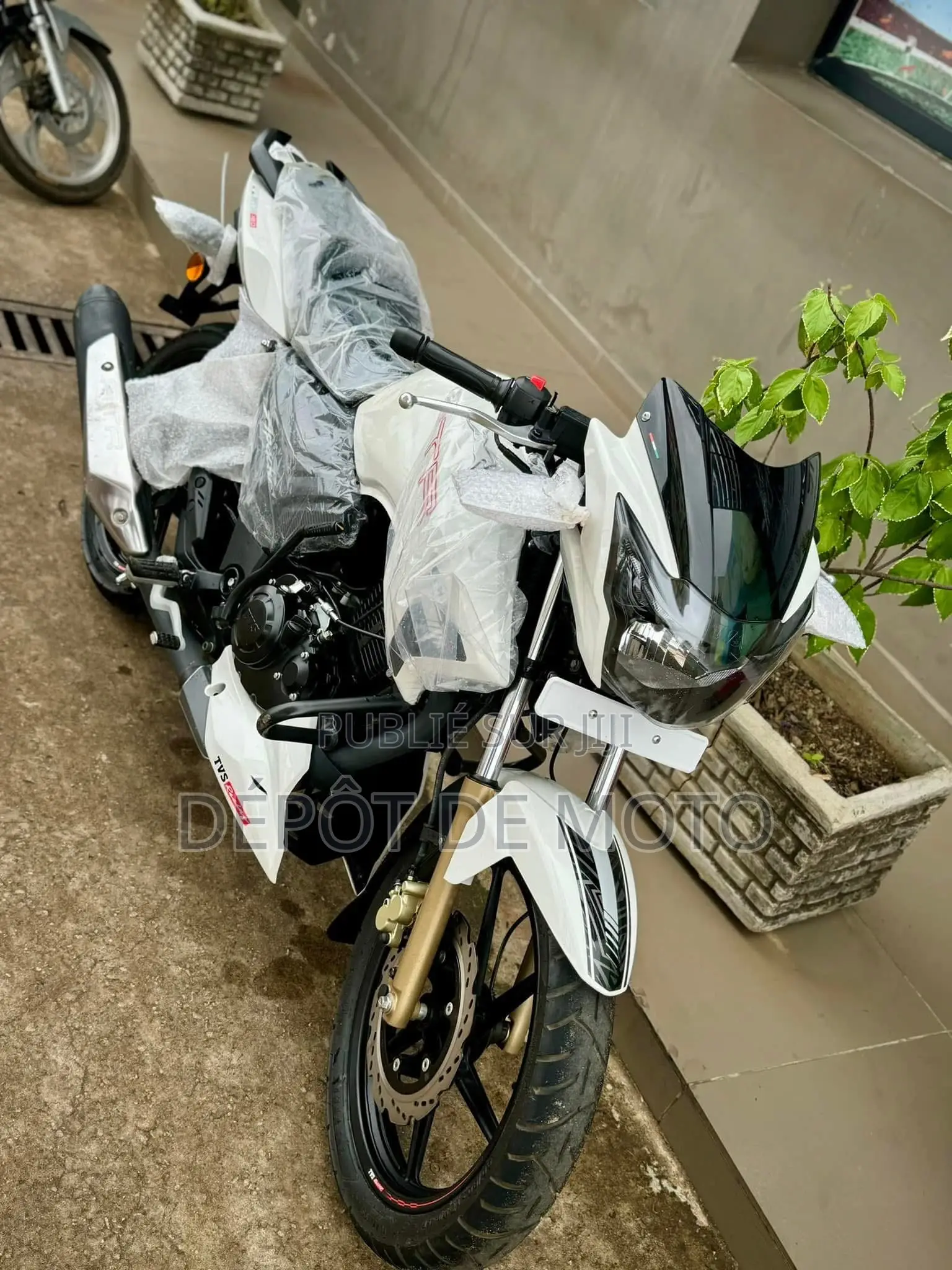 Neuf TVS Apache 180 RTR 2023 Blanc