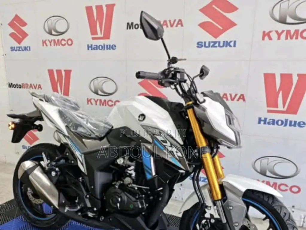 Neuf Haojue DR160S 2025 Blanc