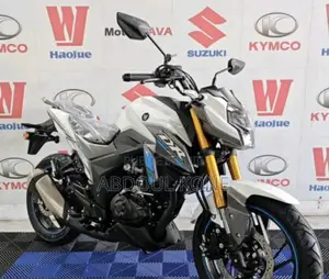 Neuf Haojue DR160S 2025 Blanc