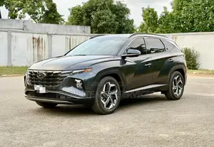 Hyundai Tucson Limited 2022 Gris