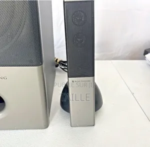 Caisson De Basse ( Subwoofer )