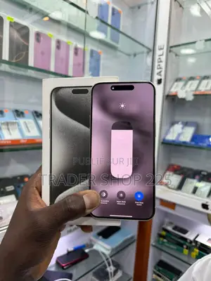 New Pomme iPhone 15 Pro Max 256 GB Argenté