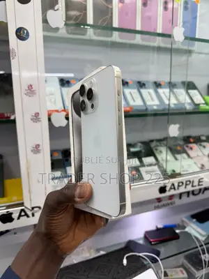 New Pomme iPhone 15 Pro Max 256 GB Argenté