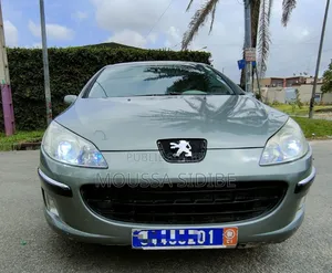 PEUGEOT 407 2002 Gris