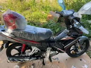 Neuf Haojue HJ110-2C 2022 Gris