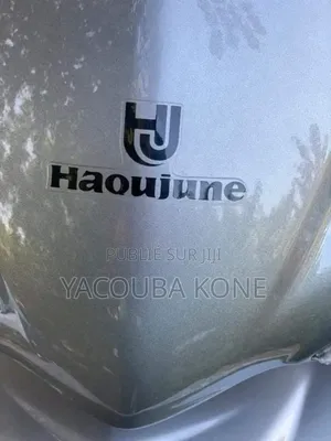 Neuf Haojue HJ110-2C 2022 Gris