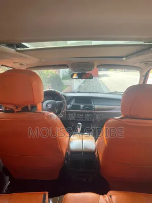 BMW X5 2010 Orange