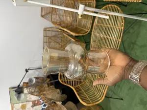 Vases De Décoration