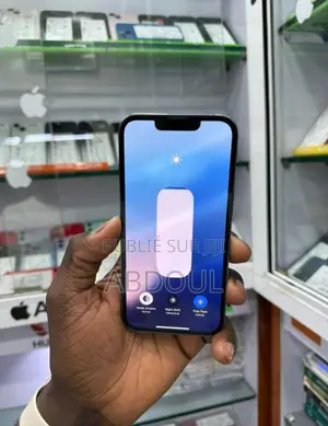 New Pomme iPhone 13 Pro 256 GB Autre