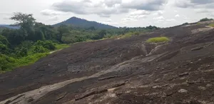 Photo - Carriere De Plusieurs Hectares en Vente a Toumodi