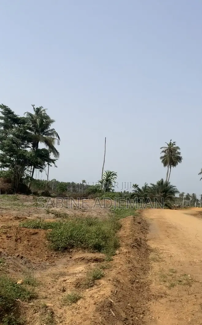 Terrain Disponible À Jacqueville