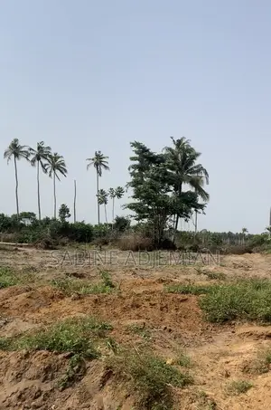 Terrain Disponible À Jacqueville