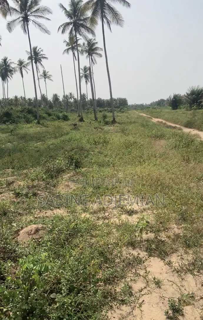 Terrain Disponible À Jacqueville