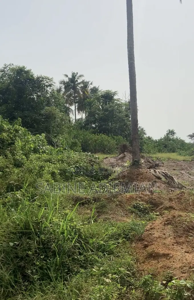 Terrain Disponible À Jacqueville