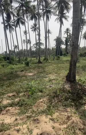 Terrain Disponible À Jacqueville